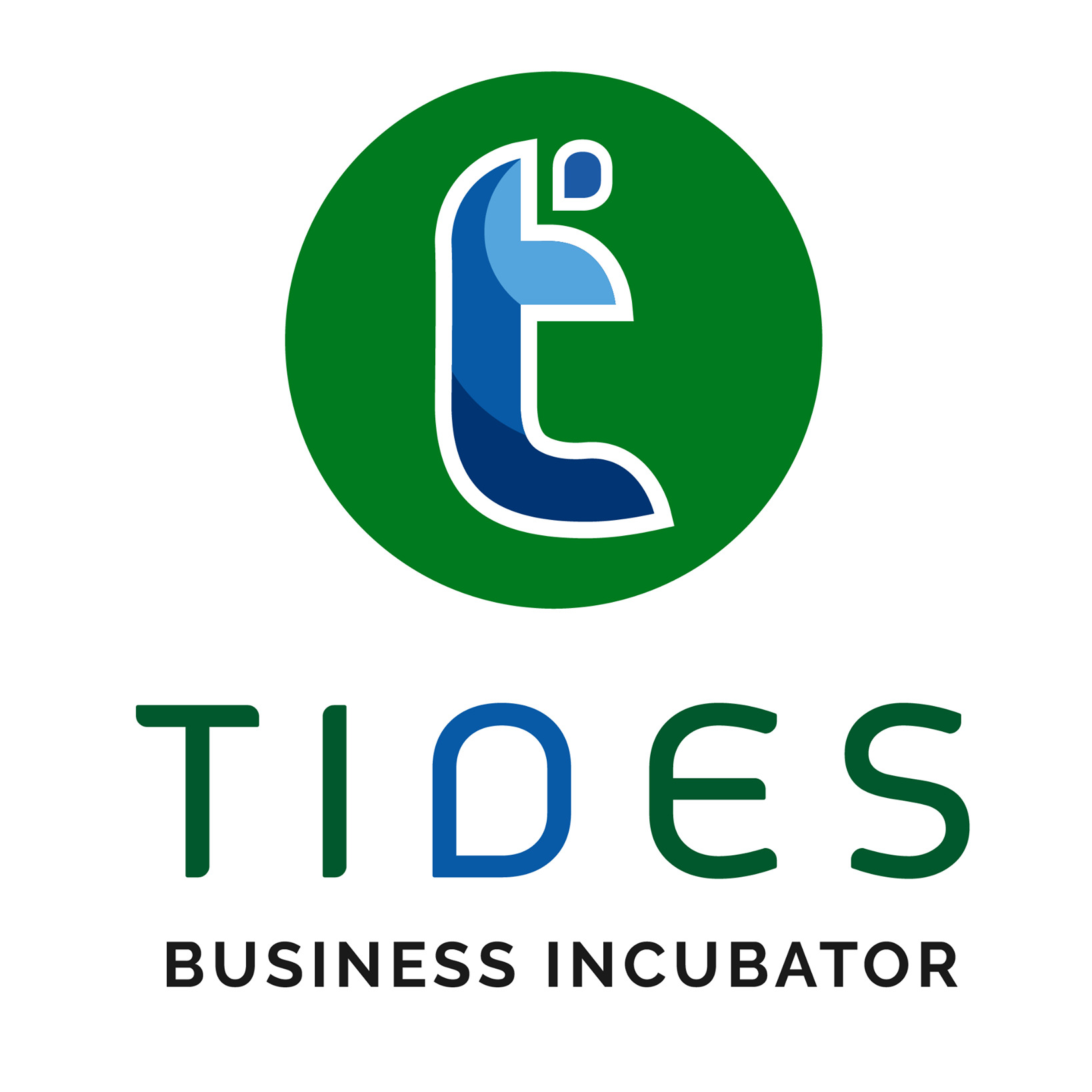 TIDES IIT Roorkee Logo